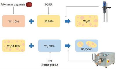 The Stability, Microstructure, and Microrheological Properties of <mark class="highlighted">Monascus</mark> Pigment Double Emulsions Stabilized by Polyglycerol Polyricinoleate and Soybean Protein Isolate